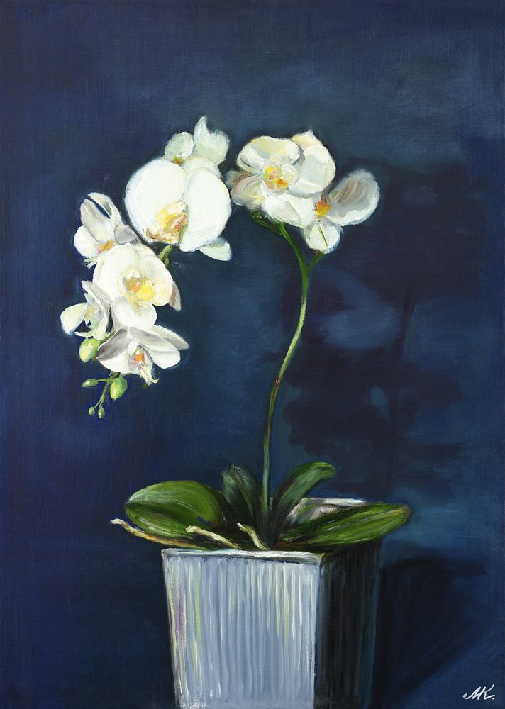  alkotó: Marina Kozyr