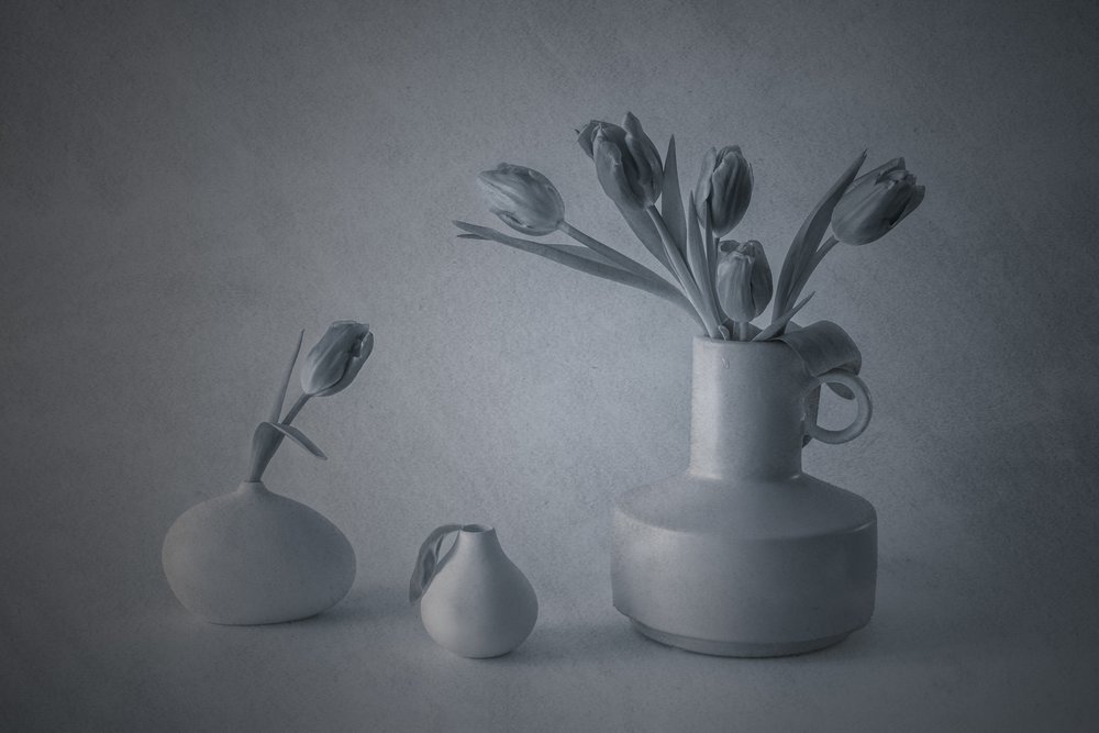 Moody csendélet: tulipánok alkotó: May G