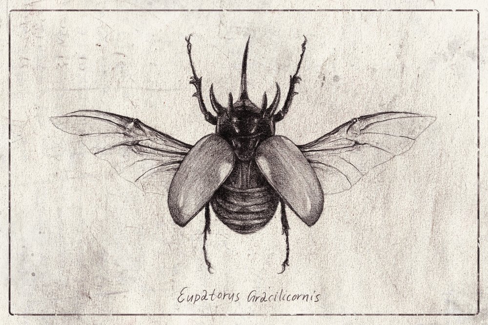  alkotó: Mike Koubou