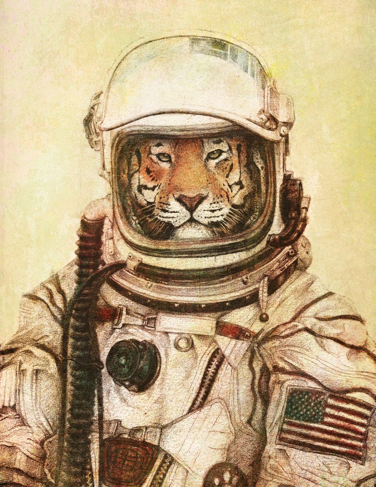  alkotó: Mike Koubou