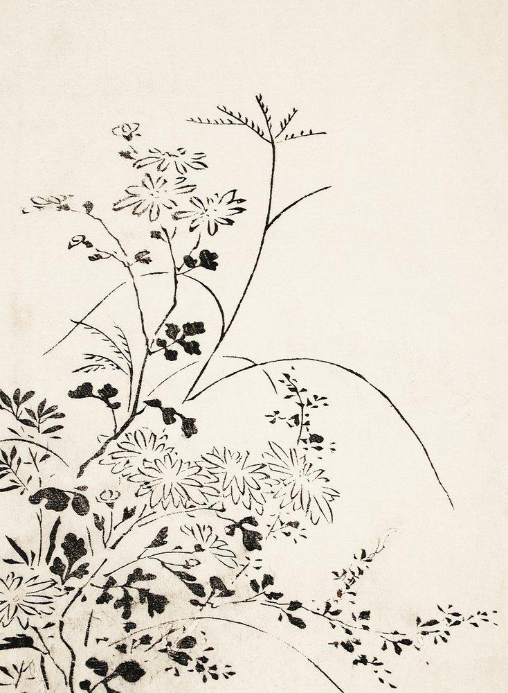 Őszi virágok és fűfélék (1762) alkotó: Miyazaki Yuzen
