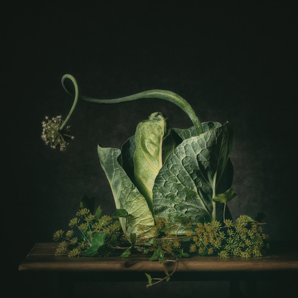  alkotó: Monique van Velzen