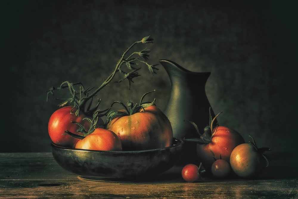  alkotó: Monique van Velzen