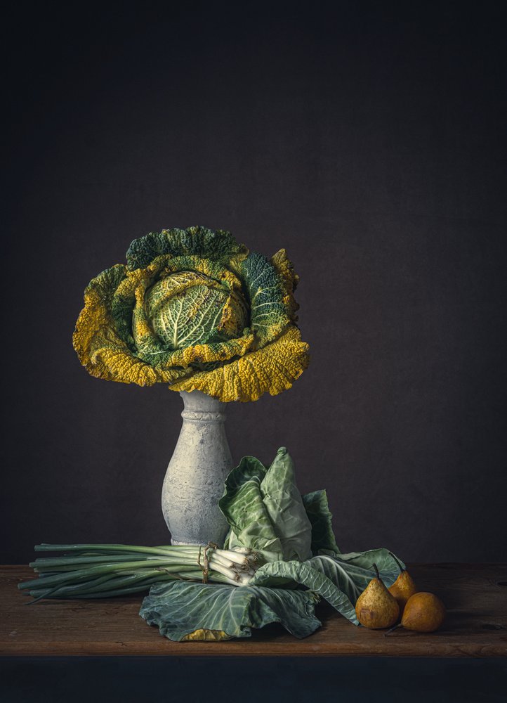  alkotó: Monique van Velzen