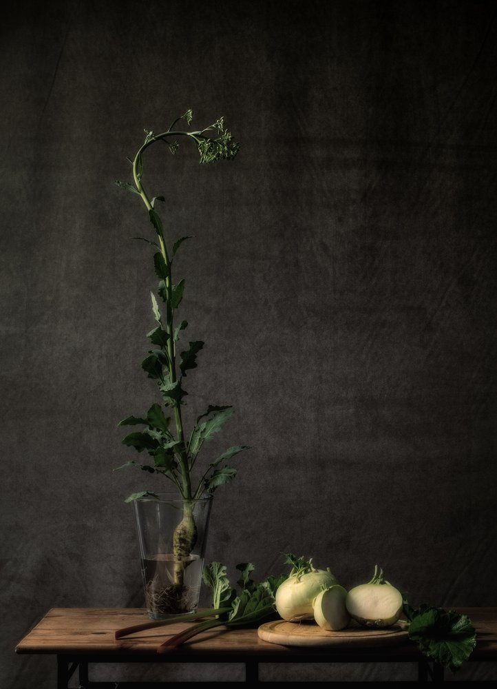  alkotó: Monique van Velzen