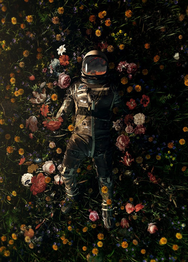  alkotó: Nicebleed