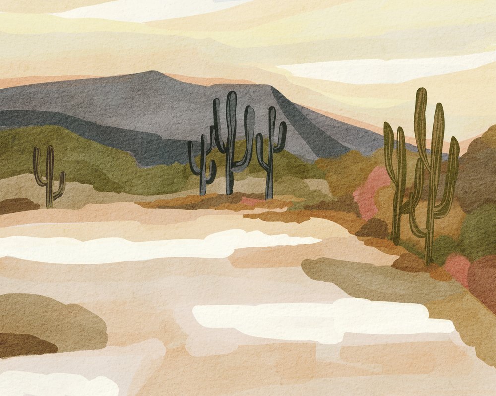 A Saguaro-sivatag nyugalma alkotó: Nikita Jariwala