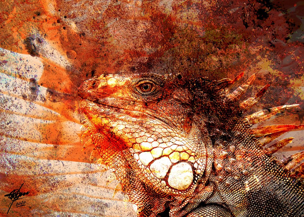 Tüzes iguana portré alkotó: Osvaldo Russo