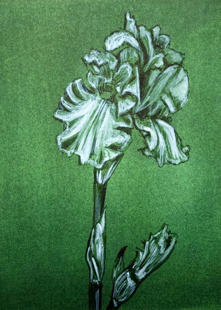Elegáns zöld írisz alkotó: Renee Machan Cottagecore Artist