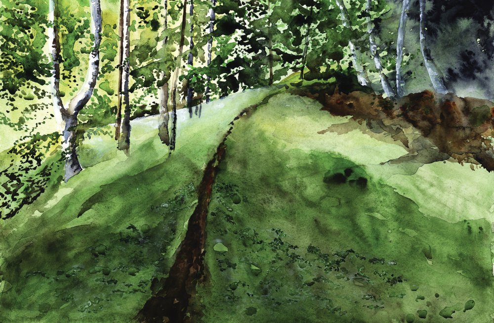 Sűrű erdő ösvénye alkotó: RodMacIver