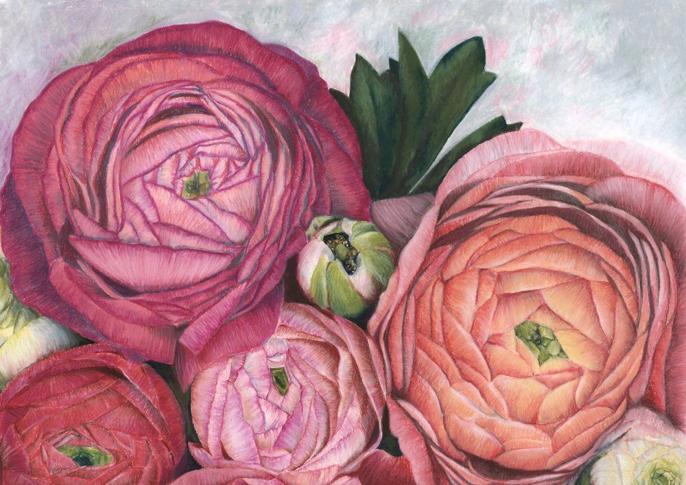 Rózsaszín őszibarack színű ranunculus alkotó: Rosana Laiz Blursbyai