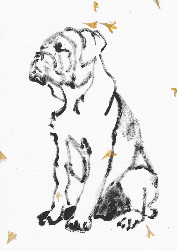 Bulldogkölyök-vázlat alkotó: Santhosh ch
