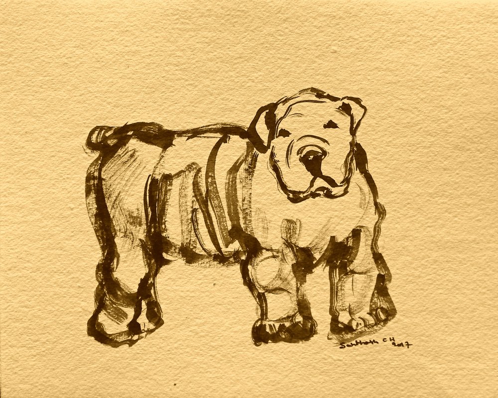 Kifejező bulldogvázlat alkotó: Santhosh ch
