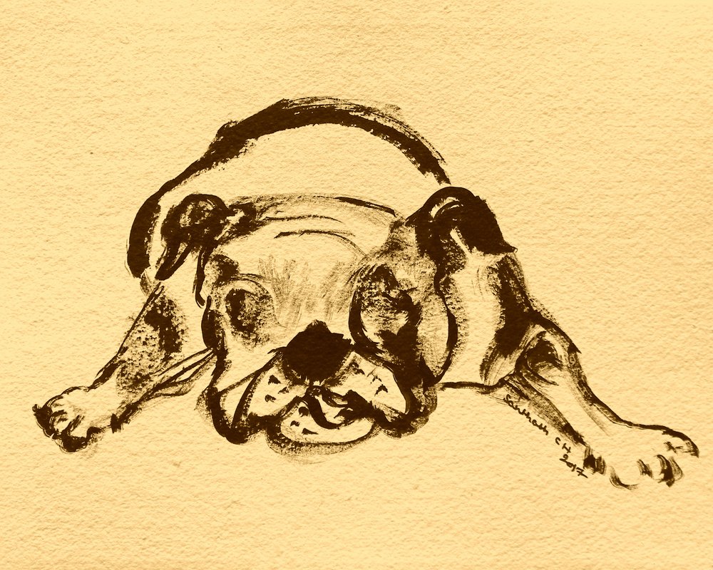 Játékos bulldogvázlat alkotó: Santhosh ch