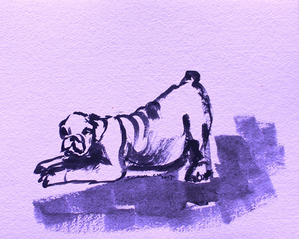 Játékos bulldognyújtózás alkotó: Santhosh ch