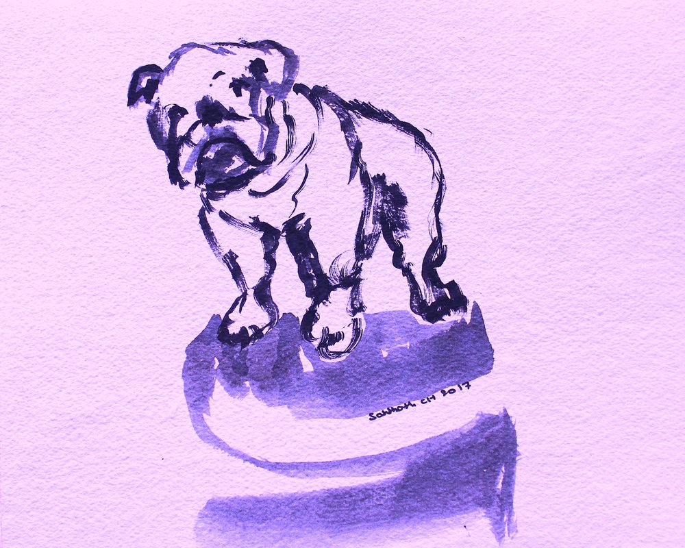 Lila bulldog vázlata alkotó: Santhosh ch