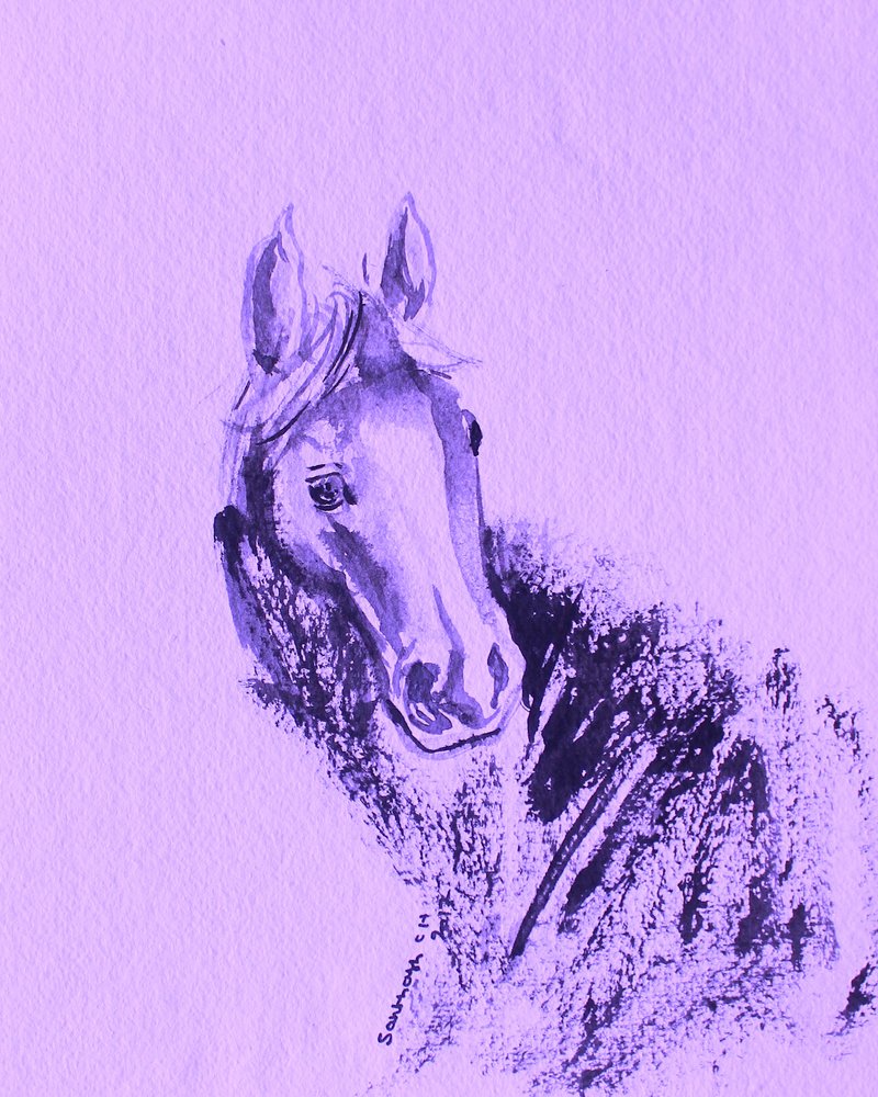 Lila lóportré alkotó: Santhosh ch