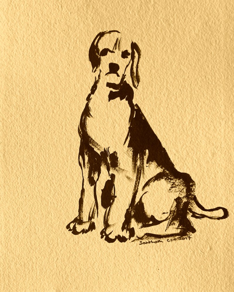 Ülő beagle vázlata alkotó: Santhosh ch