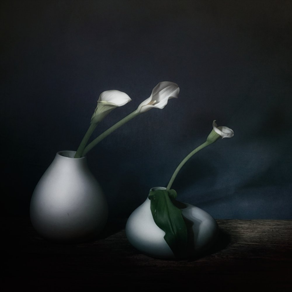 A Moody Calla virágai alkotó: Saskia Dingemans
