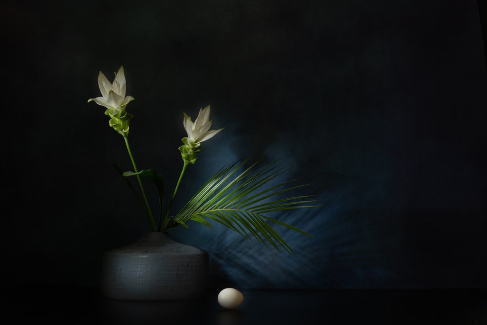 Fehér virágok – sötét csendélet alkotó: Saskia Dingemans