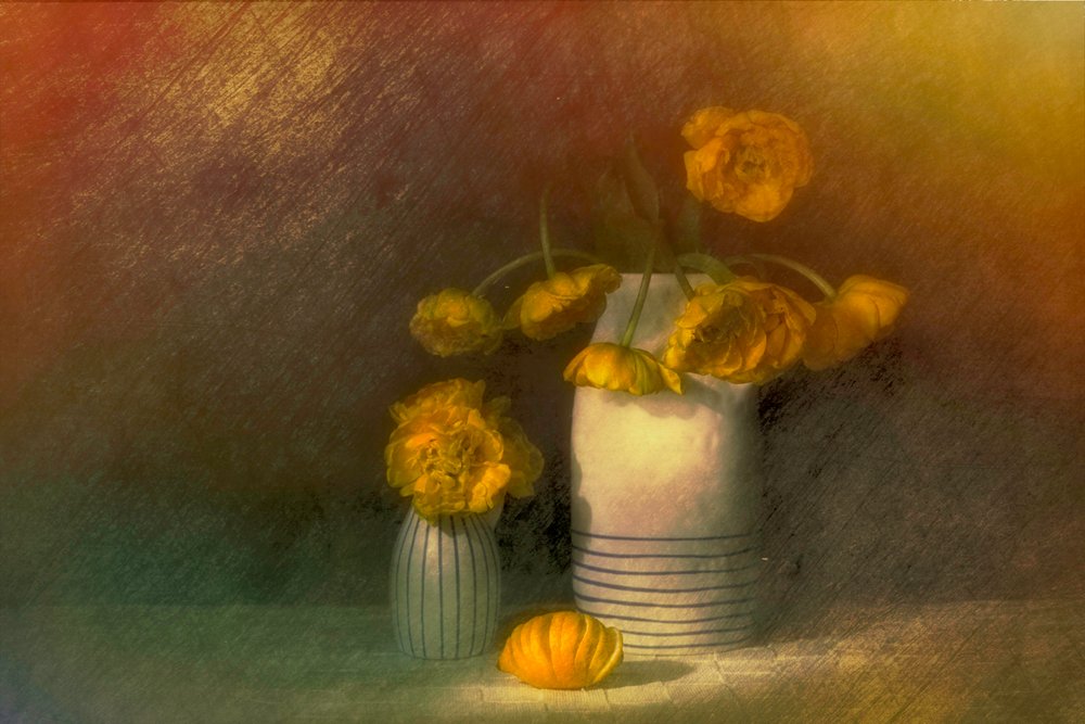 Sárga ranunculus csendélet alkotó: Saskia Dingemans