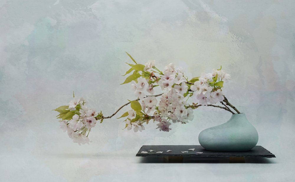 Zen Blossom csendélet alkotó: Saskia Dingemans