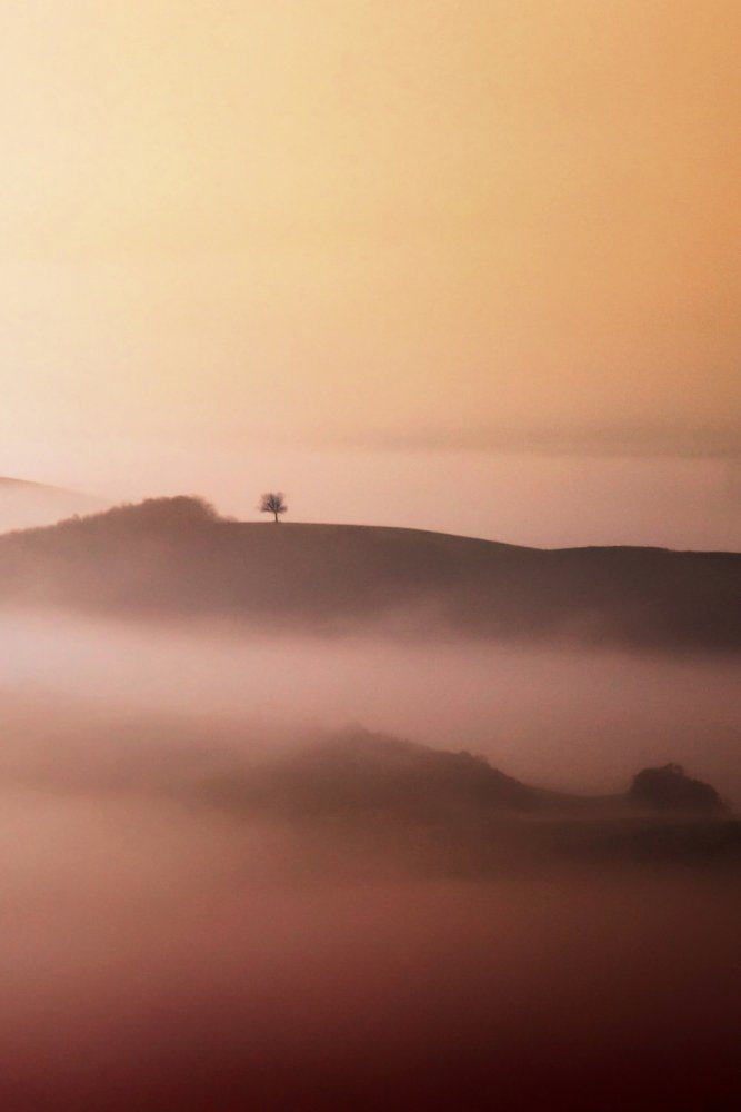 Lone Tree Aranyköd alkotó: Vanja Tajnsek
