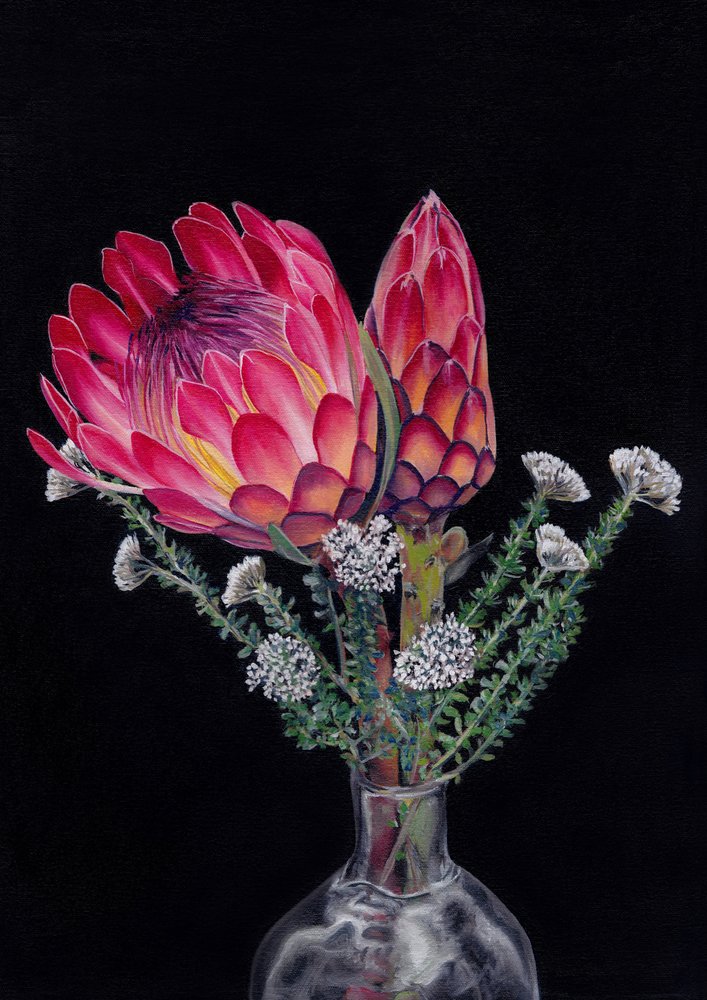 Protea és Blombos – Írta: Viccy Wanliss alkotó: Viccy Wanliss
