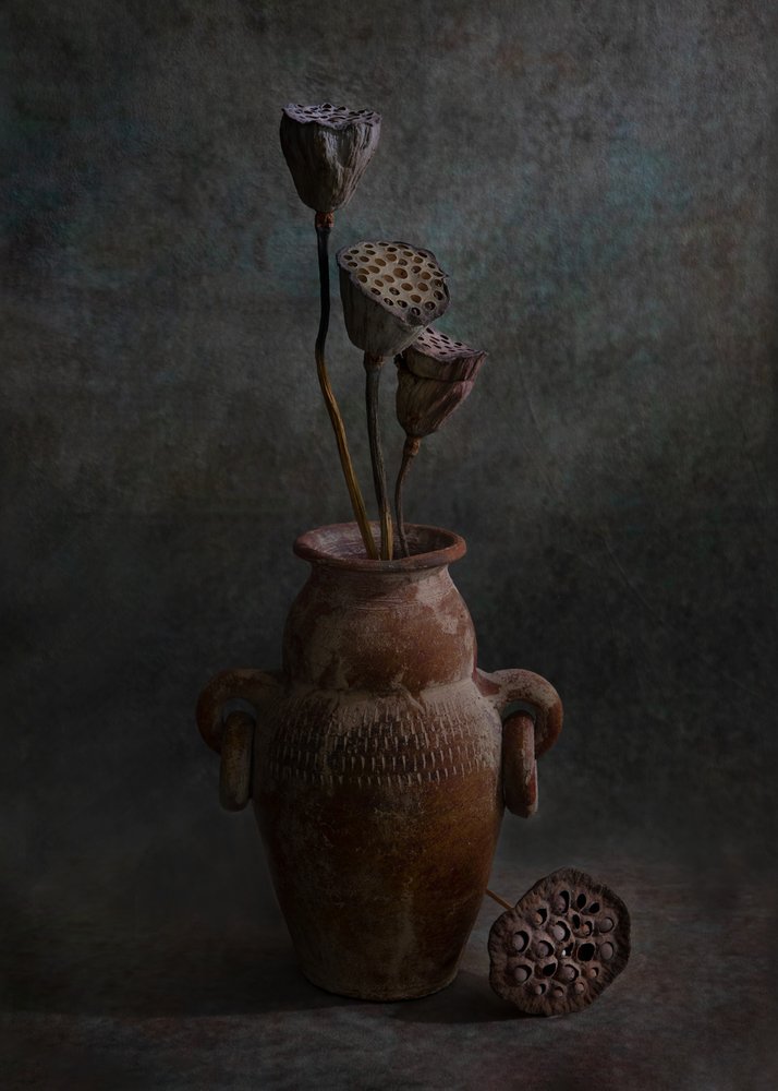  alkotó: Wendy Xu