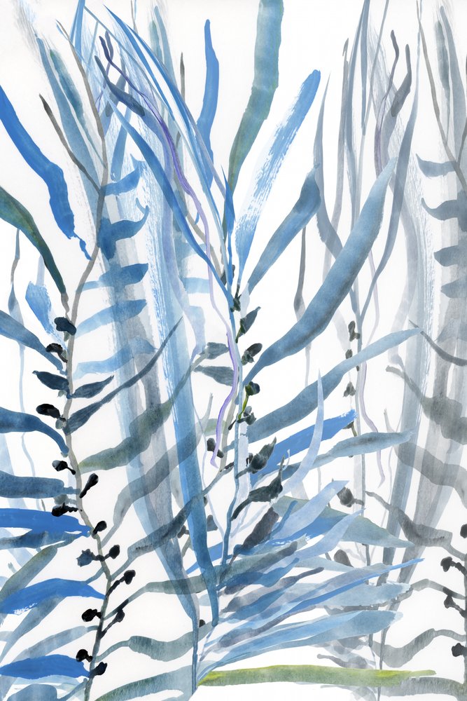  alkotó: cartissi