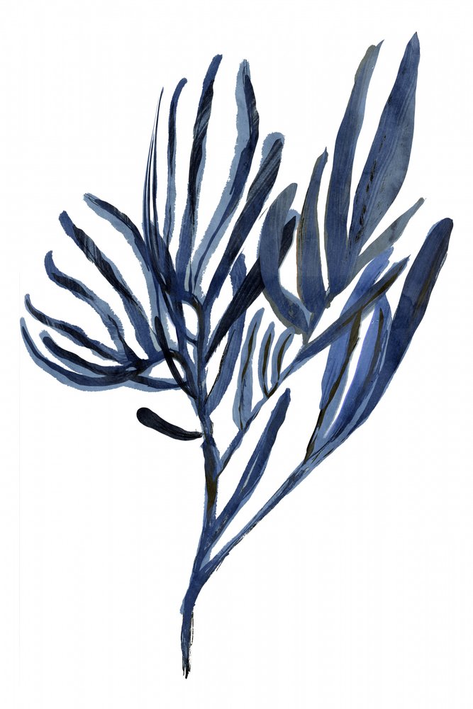 Indigo Botanical Ágak alkotó: cartissi