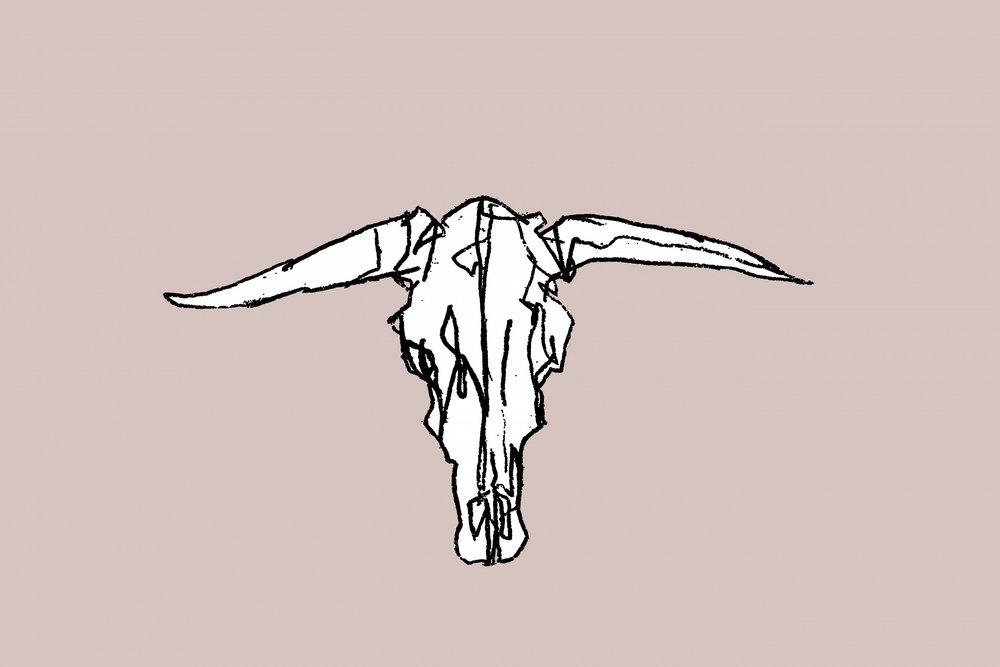 Minimalista Longhorn koponya alkotó: cartissi
