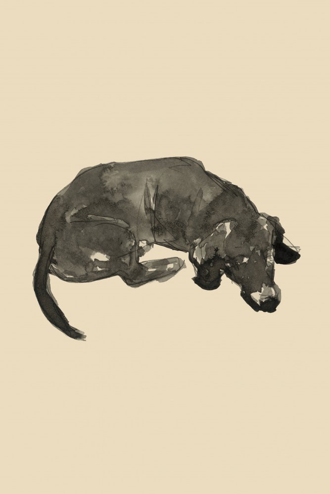  alkotó: cartissi