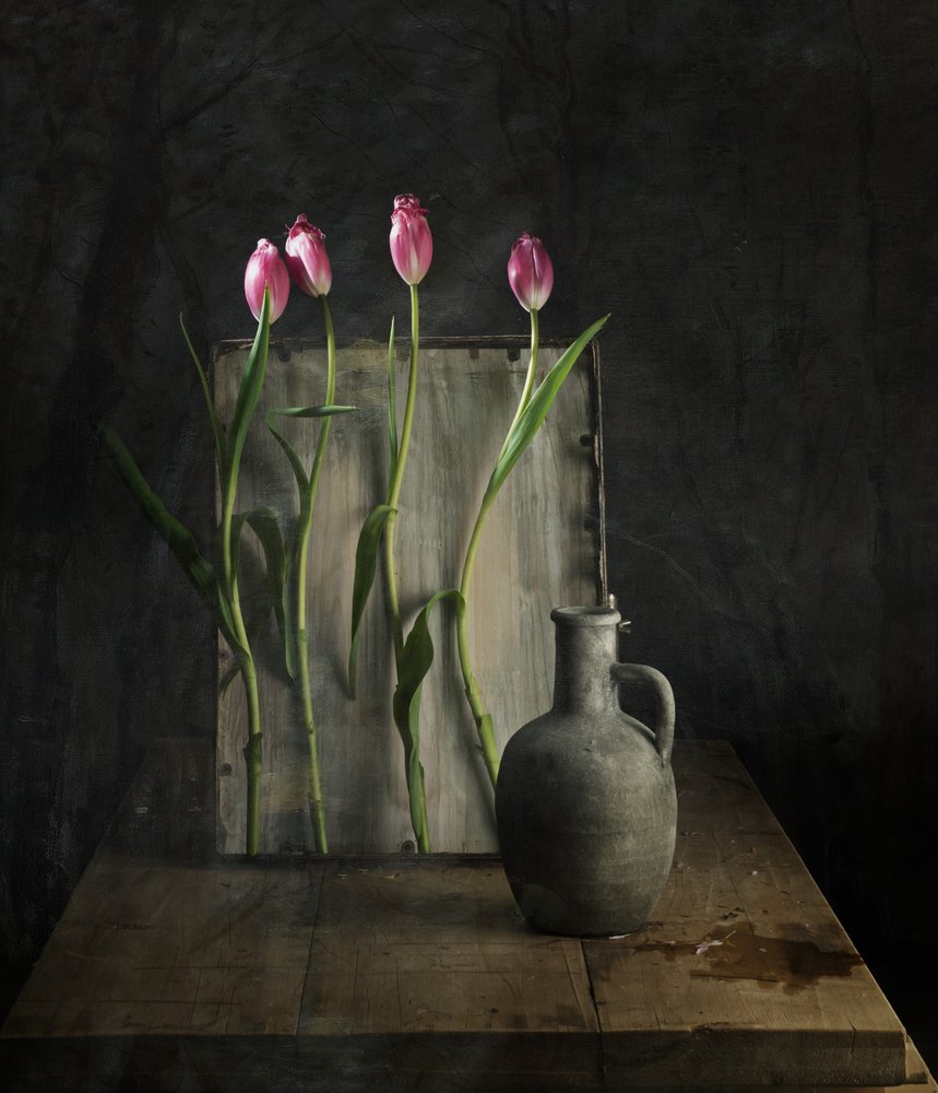  alkotó: chenyi wang