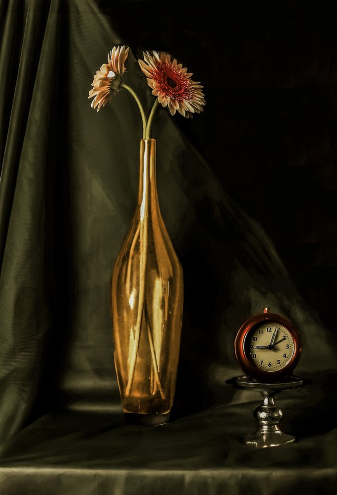 Aranyszínű gerbera csendélet alkotó: jlloydphoto