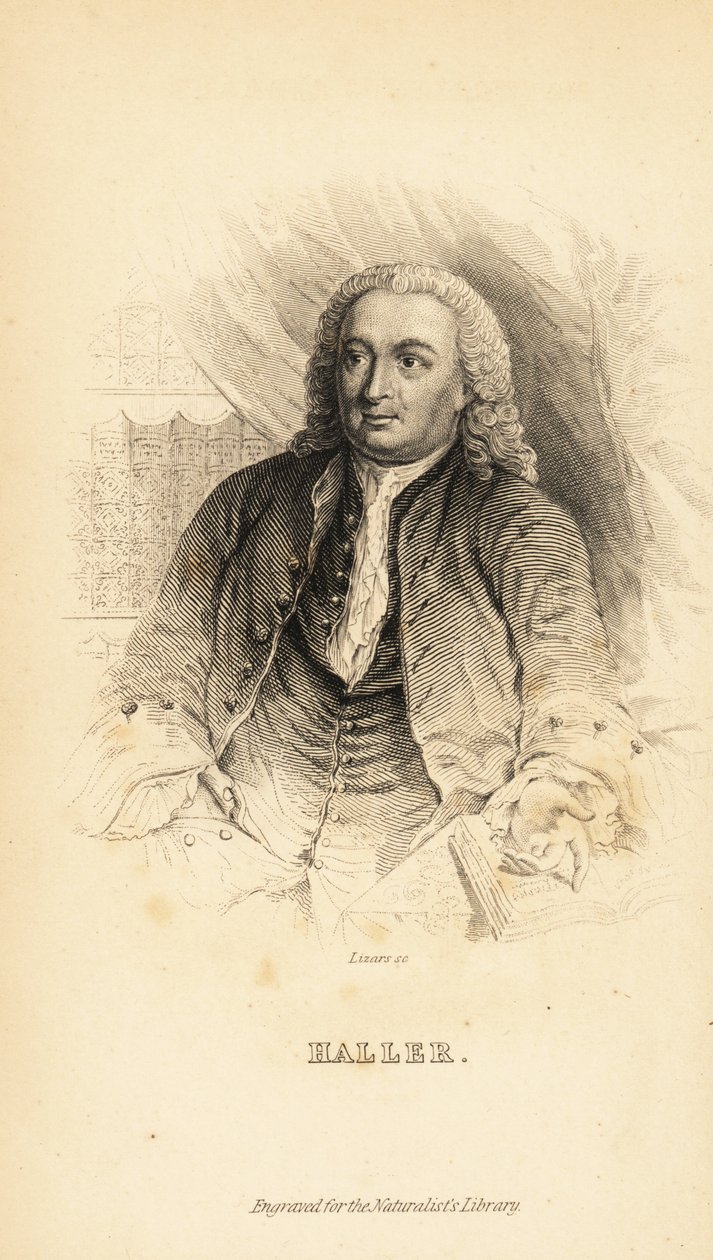 Albrecht von Haller svájci anatómus, természettudós és költő, 1708-1777 alkotó: Unknown