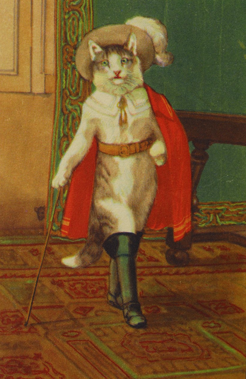 Illusztráció: The Boot Cat Conte de Perrault alkotó: Unknown