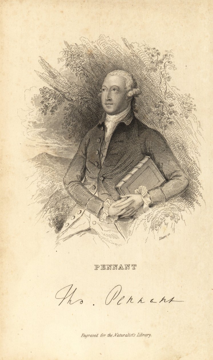 Thomas Pennant walesi természettudós, író és antikvárius, 1726-1798 alkotó: Unknown