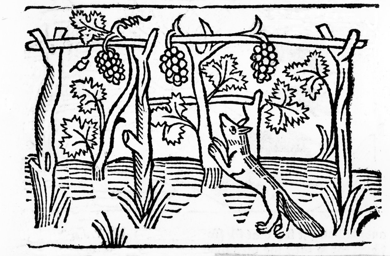 A róka és a mazsola, illusztráció Caxton „Aesop