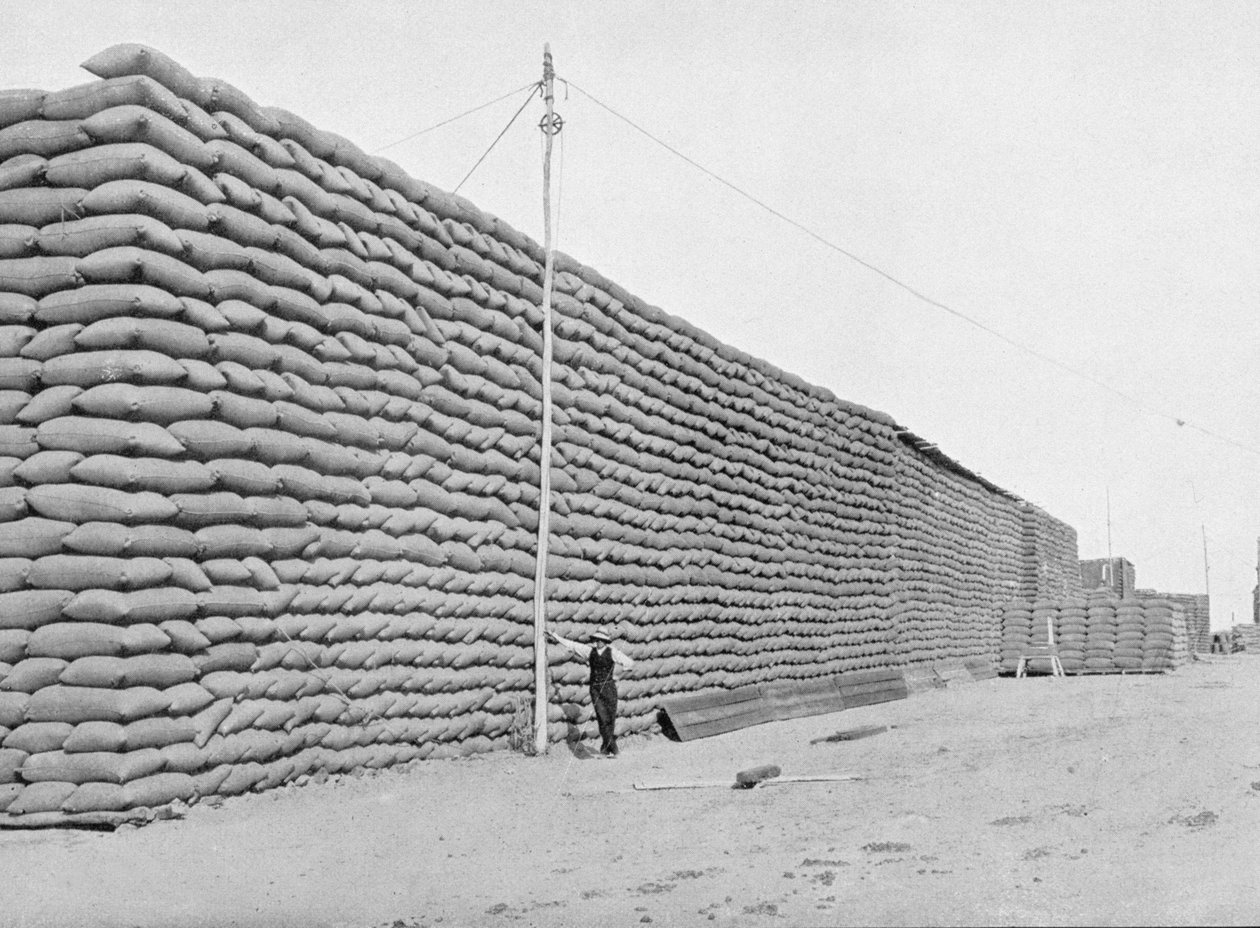 125 000 zsák búza szállításra vár, Dél-Ausztrália, 1900 körül, az 