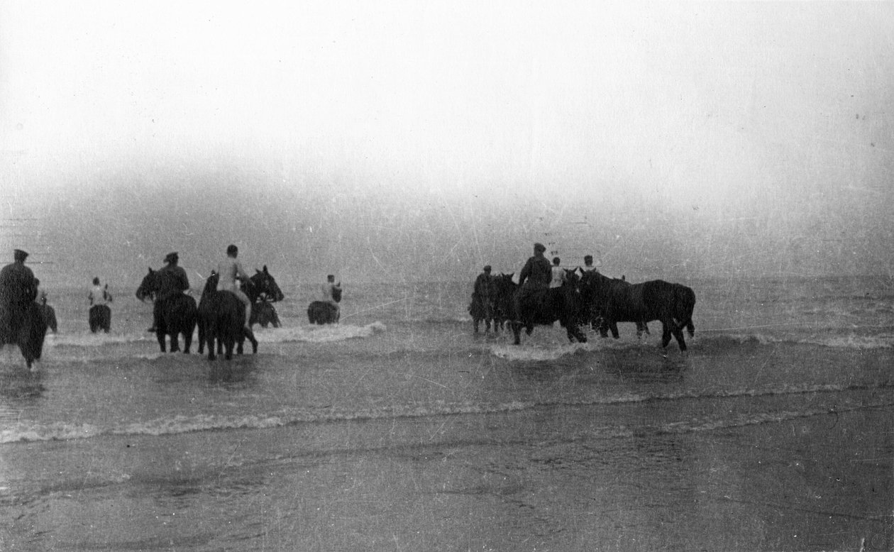 Katonák, akik lovaikat úszni vitték Normandia partjainál, 1916. augusztus alkotó: English Photographer