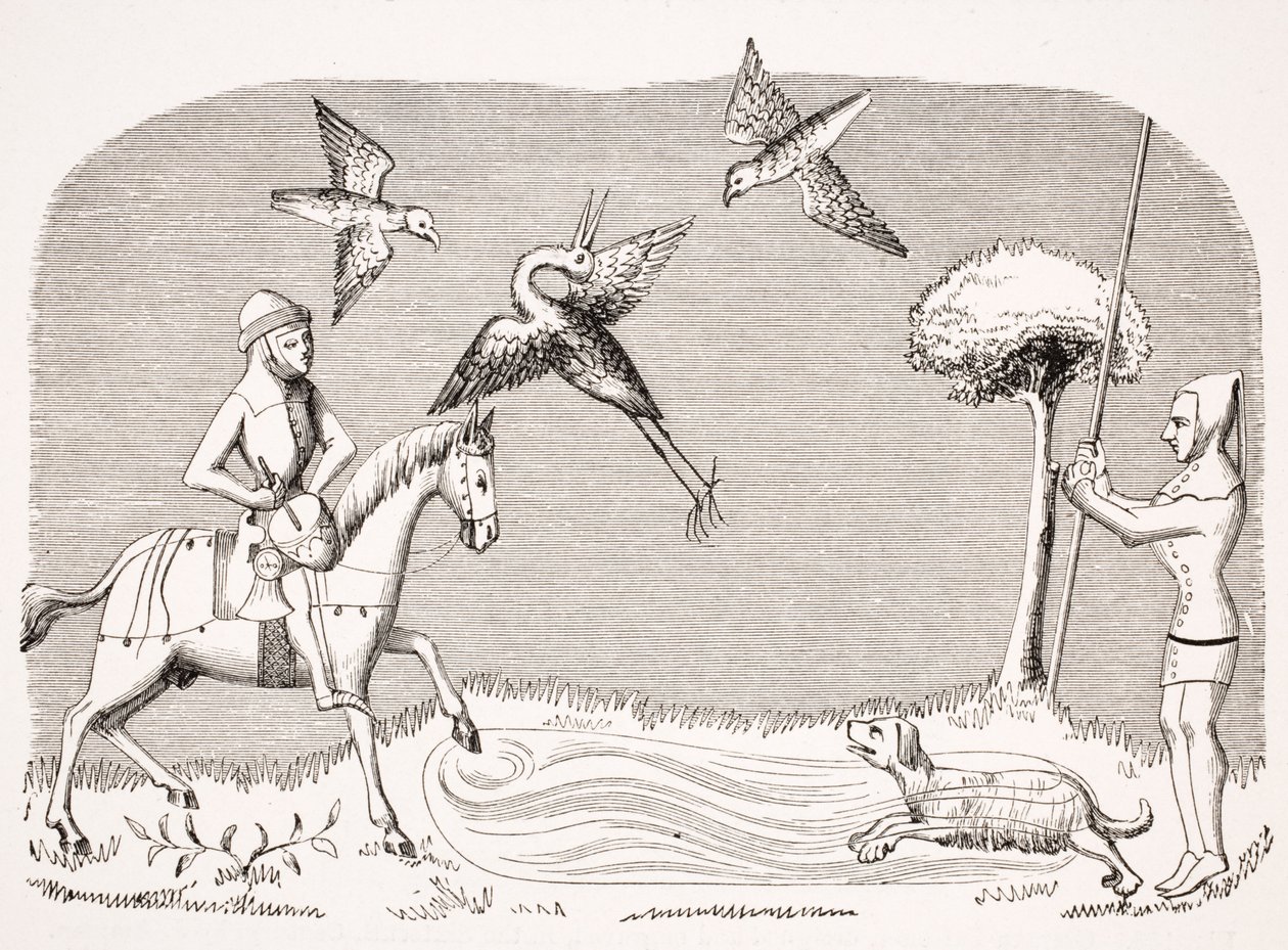 Heron Hawking, egy miniatűr reprodukciója a 14. századi „Livre de Roy du Modus” kéziratban, Henri de Ferrieres, Paul Lacroix (1806-84) „Le Moyen Age et La Renaissance” című művéből, 1847-ben megjelent. alkotó: French School