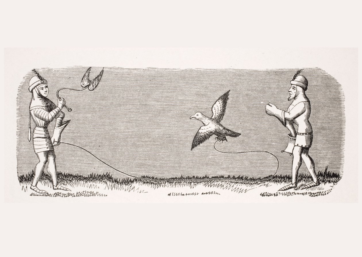 Hogyan neveljünk egy új sólymot, egy miniatűr reprodukciója a 14. századi „Livre de Roy du Modus” Henri de Ferrieres kéziratban, Paul Lacroix (1806-84) kocsma „Le Moyen Age et La Renaissance” című művéből alkotó: French School