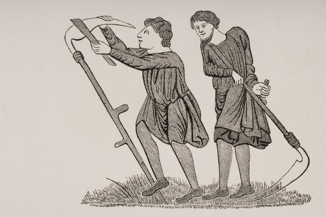A mezőkön kaszával dolgozó jobbágyok egy 12. századi kézirat miniatűrje után, Paul Lacroix (1806-84) „Le Moyen Age et La Renaissance” című művéből, 1847-ben megjelent alkotó: French School