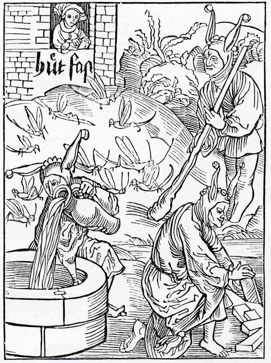 Róla, aki féltékeny a feleségére, és ok nélkül figyeli útjait, vagy euydent tokyn of hir myslyuynge, illusztráció Alexander Barclay „A bolondok hajója” című angol fordításából, egy alkotó: German School