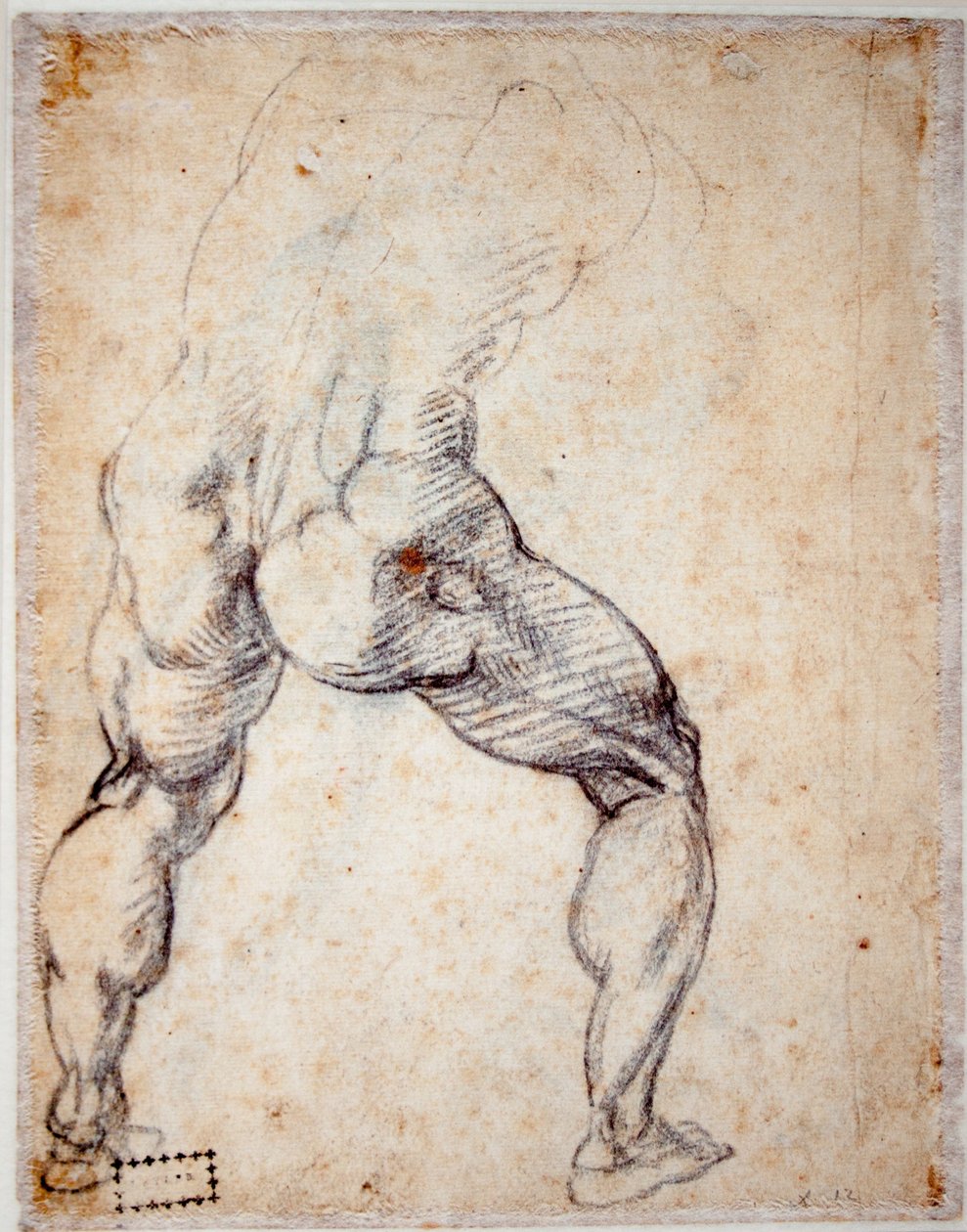 Férfiakt hátulról alkotó: Michelangelo Buonarroti
