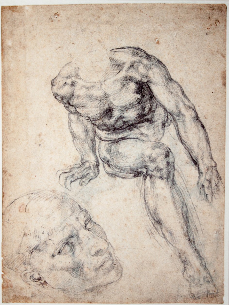 Egy férfi akt vizsgálata, külön tanulmánya a fejéről alkotó: Michelangelo Buonarroti