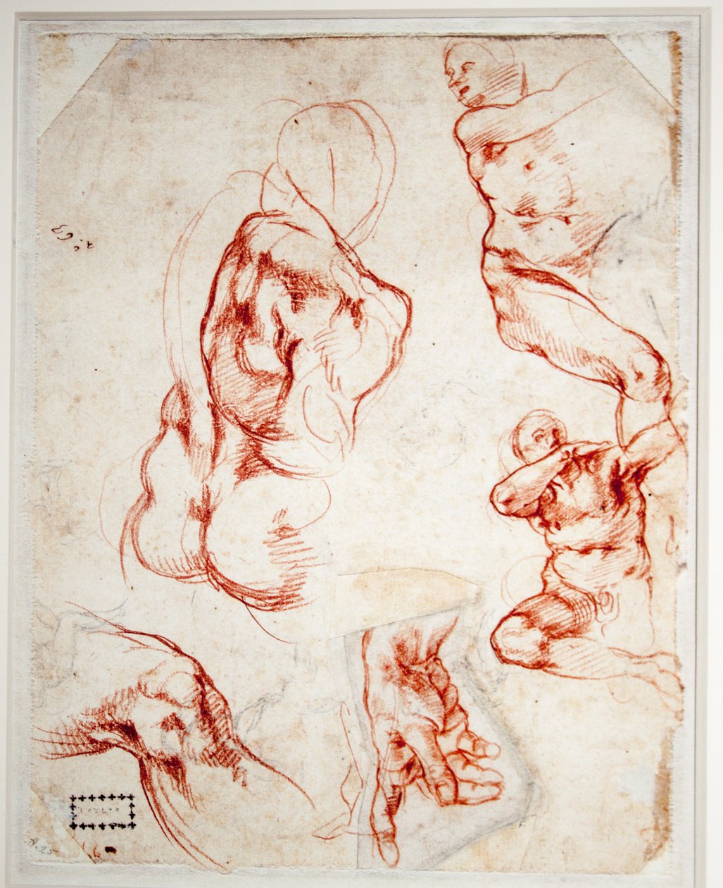Tanulmány Isten kezéhez (Ádám teremtése) alkotó: Michelangelo Buonarroti
