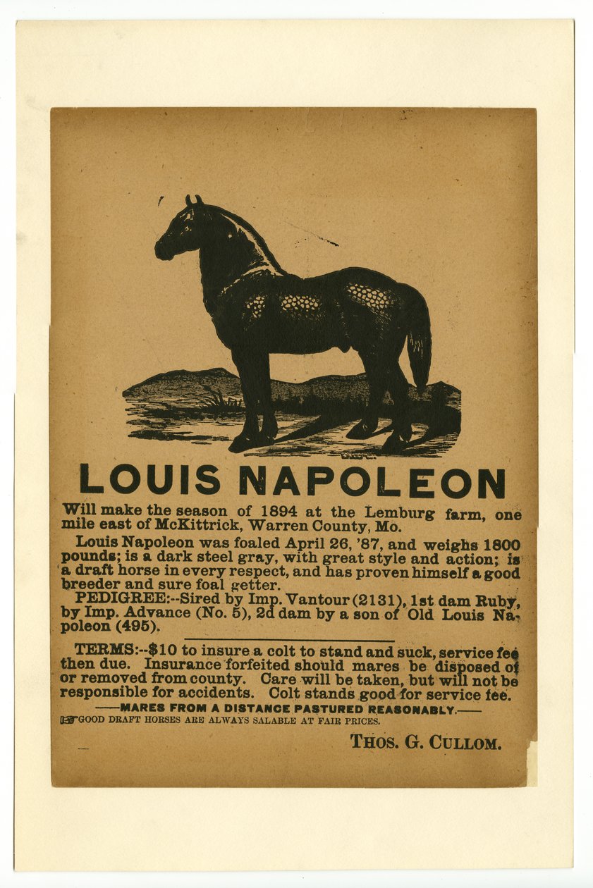 Louis Napoleon, széles körű reklámváz a szolgáltatásért, 1894 alkotó: Unknown