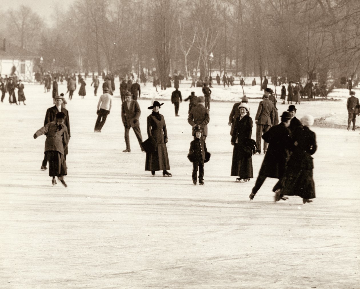 Jégkorcsolyázók az erdei parkban. alkotó: Unknown